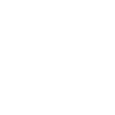 rapid-test-white