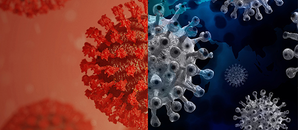 Download Uk Pcr Test 2021 Background