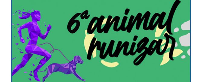 Animal running
