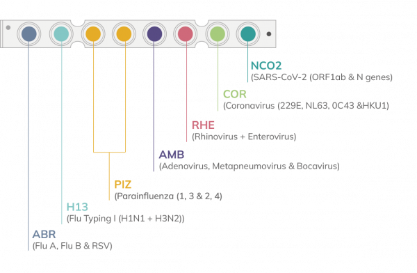 RP06-Respiratory panel VI