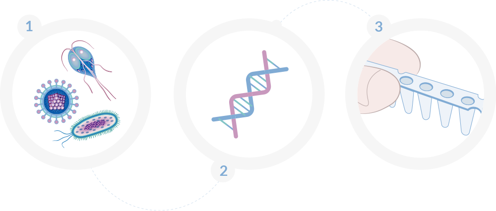 quick-lysis-scheme