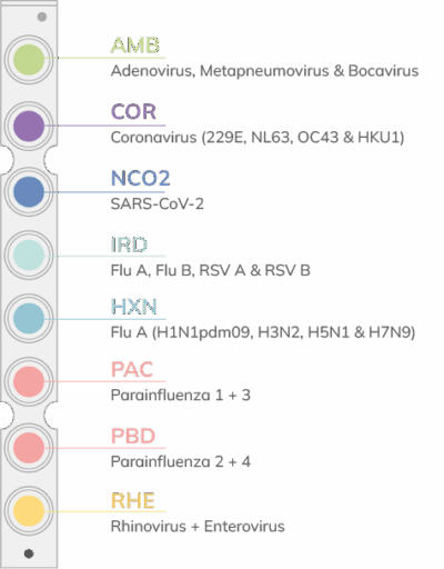 Rp Panel Respiratory Panel 07 - Certest Biotec - Raw Materials | Diagnostics ...
