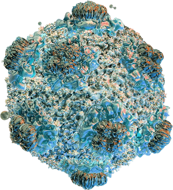 Hantavirus